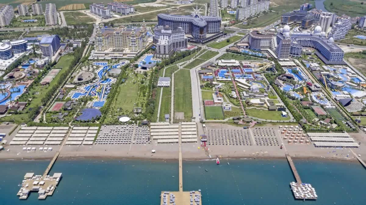 Royal Seginus Imagine 2